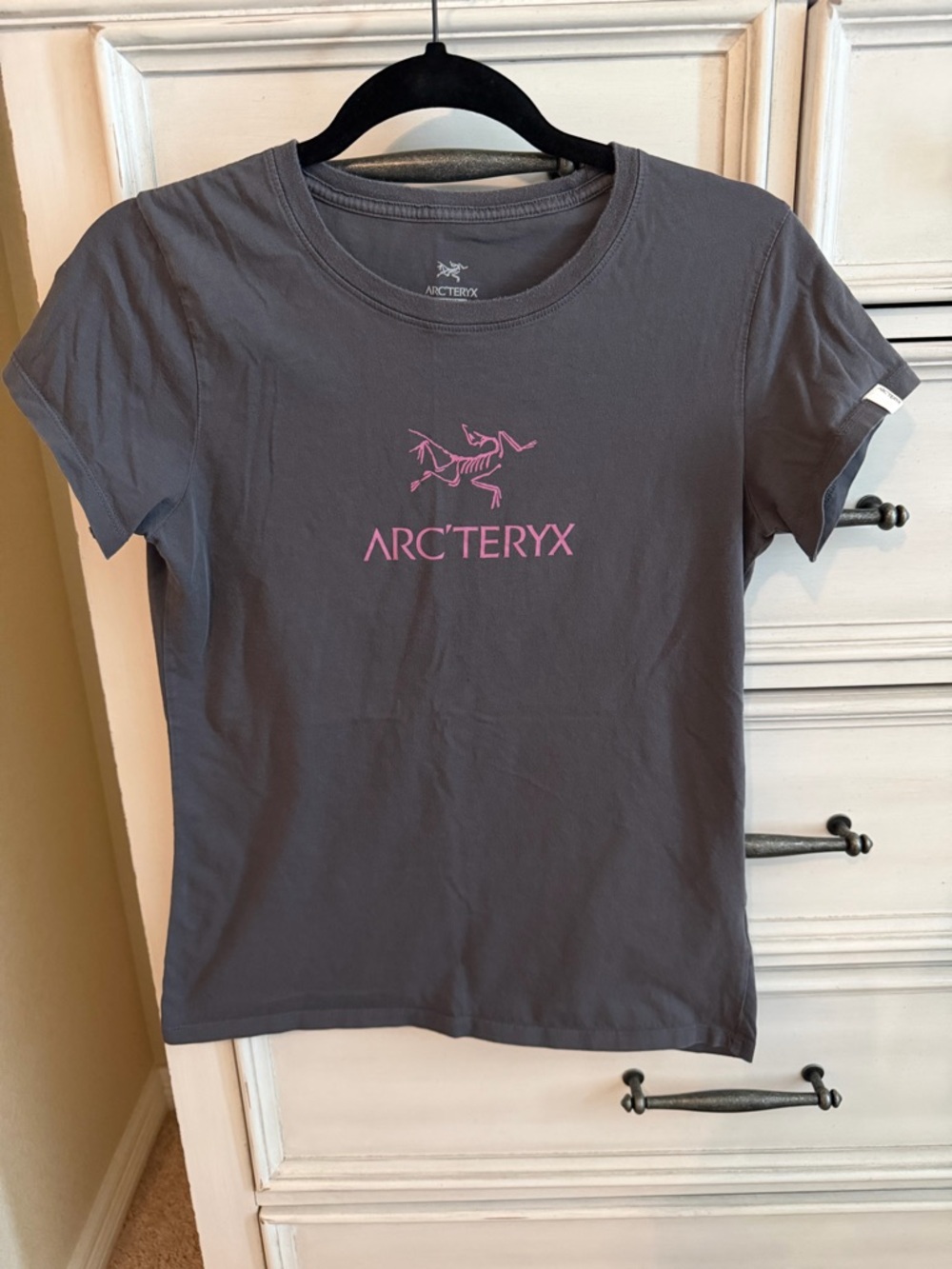 Arcteryx tee